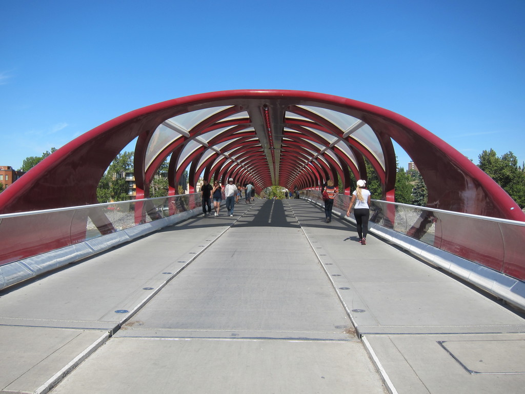 Peace Bridge Calgary by elainepenney