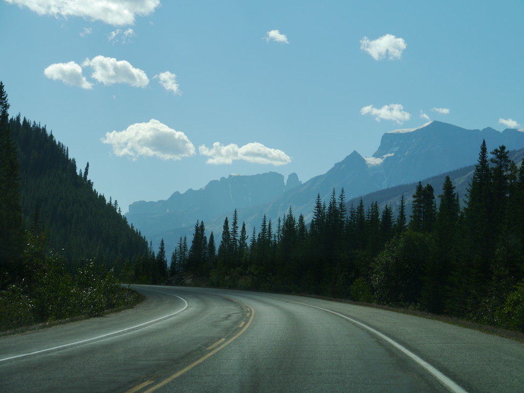 Drive into the Rockies by elainepenney