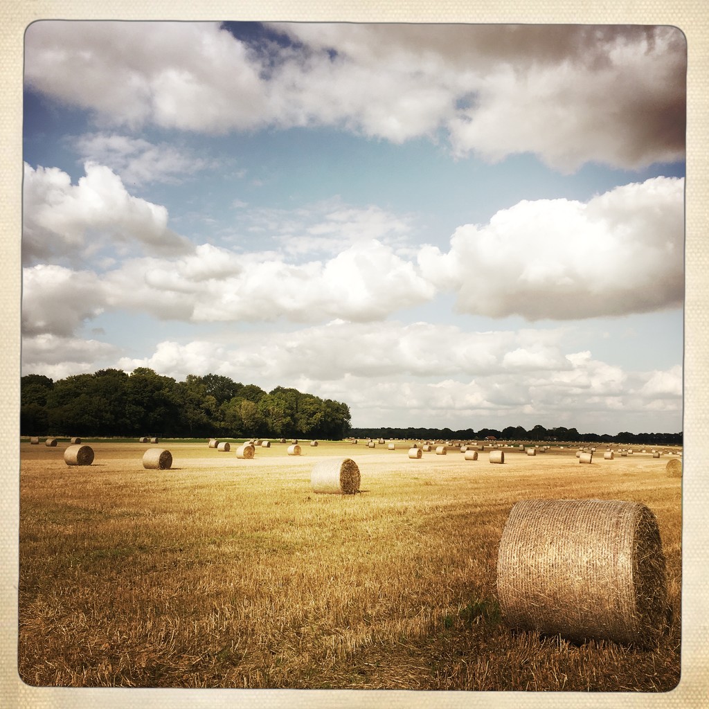 Bales by andycoleborn