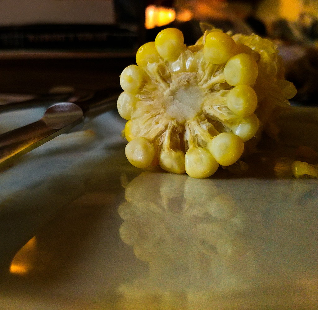 Last Kernels of Corn by houser934