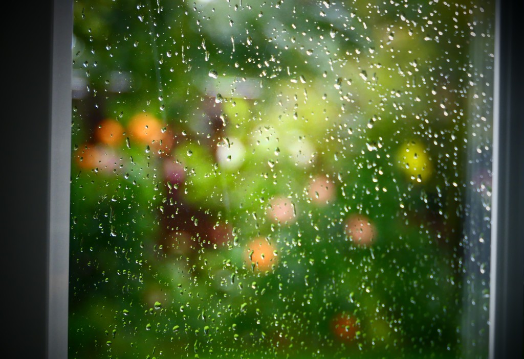 Rain, Rain Go Away...... by carole_sandford