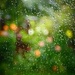 Rain, Rain Go Away...... by carole_sandford