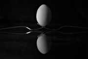 11th Sep 2017 - Balanced Egg