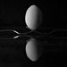 Balanced Egg by 30pics4jackiesdiamond