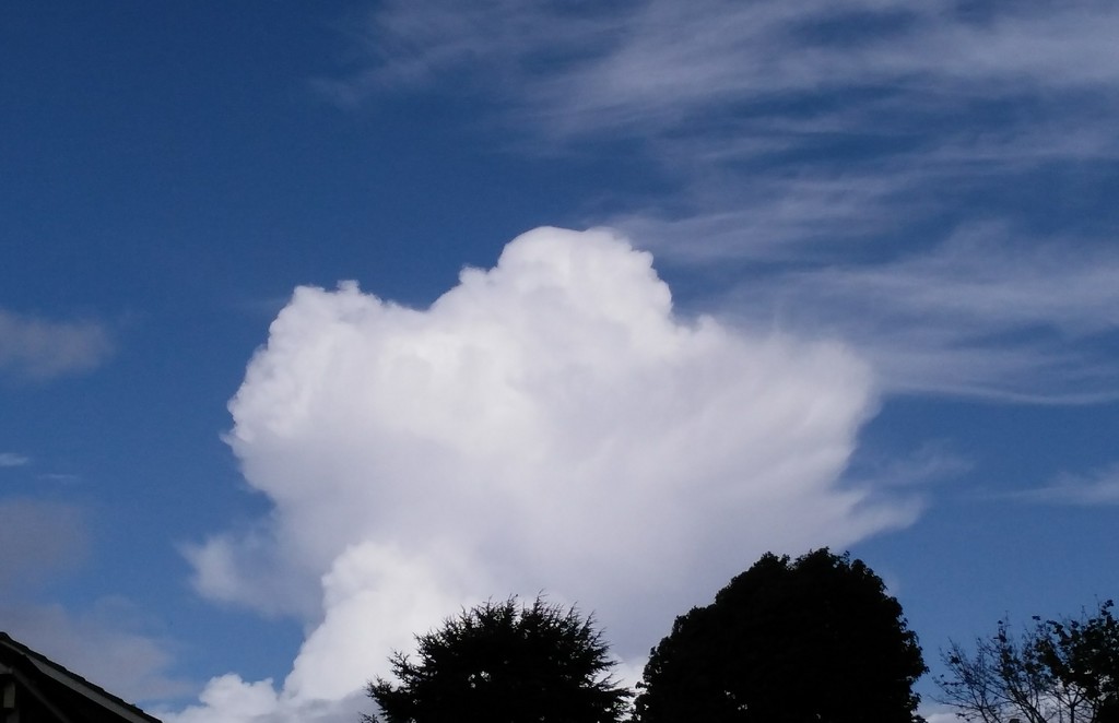 A cloud in a blue sky by jmdspeedy