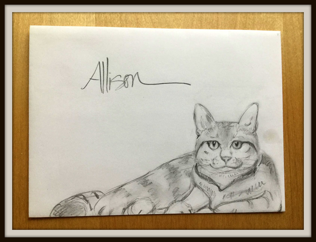 Dana's Cat by allie912