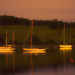 Lunenburg Harbor by joysfocus