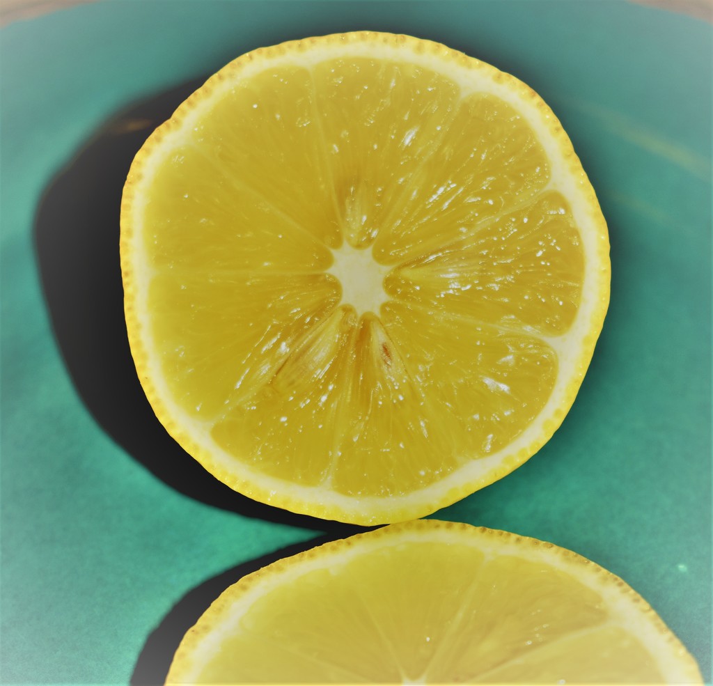Sour-Seedy Lemon by caitnessa