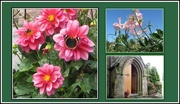 13th Sep 2017 - Pink Dahlias, and pink sweet peas and open Church door.