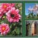 Pink Dahlias, and pink sweet peas and open Church door. by grace55