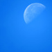 Daytime Moon by seattlite
