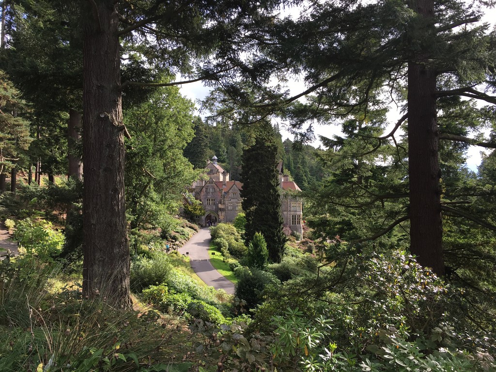 Cragside by 365projectmaxine