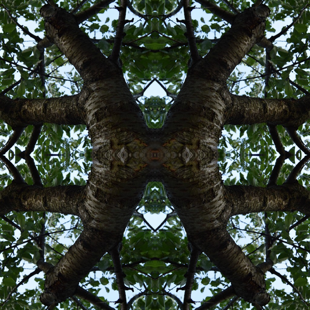 Tree maze by dragey74