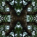 Tree maze by dragey74