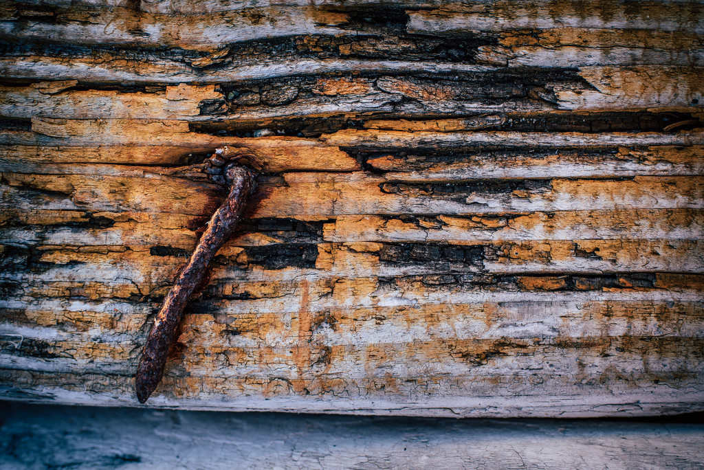 Rusty Nail by kwind