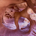 Windstone Arch - Valley of Fire by pdulis