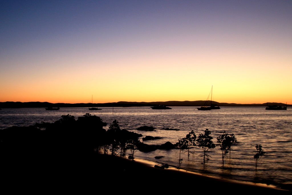 Sunset Silhouettes at Seventeen Seventy by kiwinanna