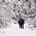 Snowy walk by teodw