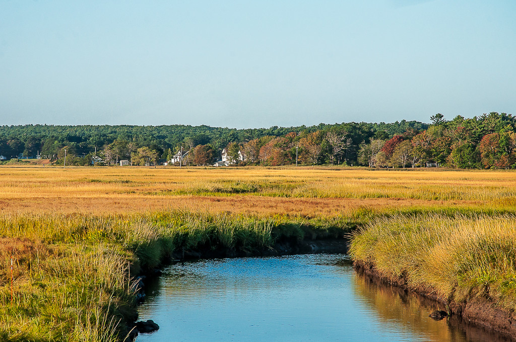 Marsh Autumn by joansmor
