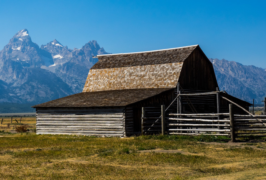 Mormon Row in Jackson Hole by redy4et