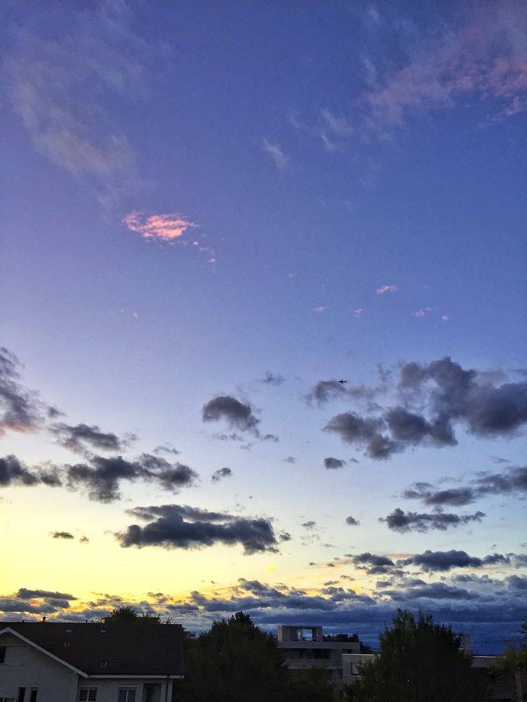 Baby pink cloud.  by cocobella