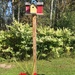 Another Bird House  by wilkinscd