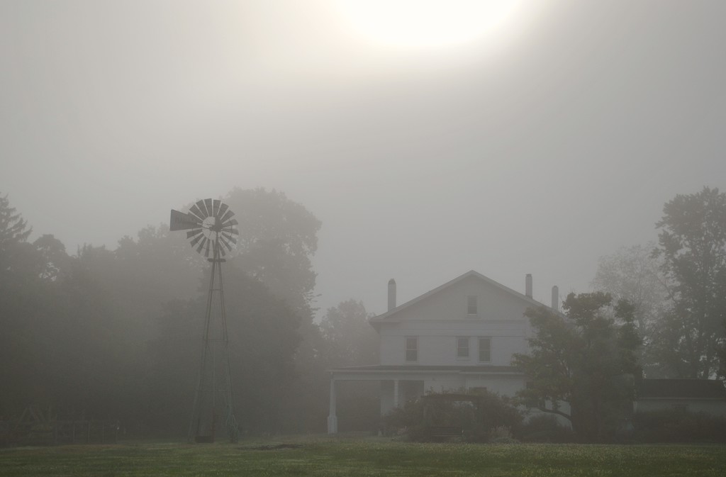 The Foggy Farm by alophoto