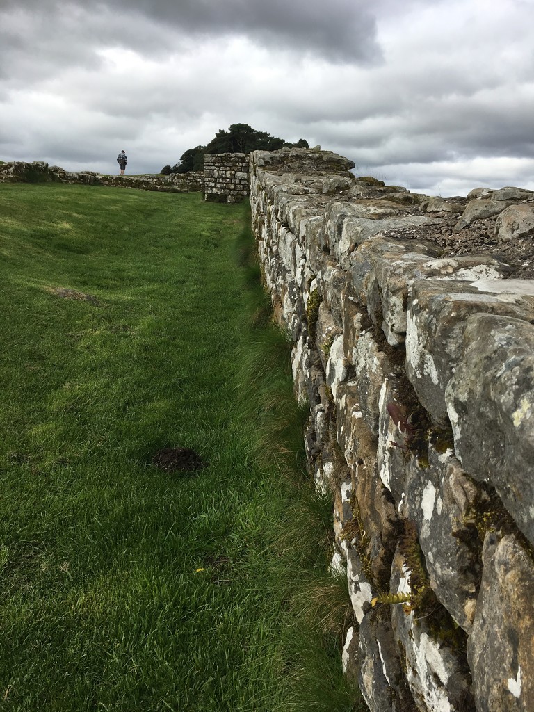 Hadrian's Wall by 365projectmaxine