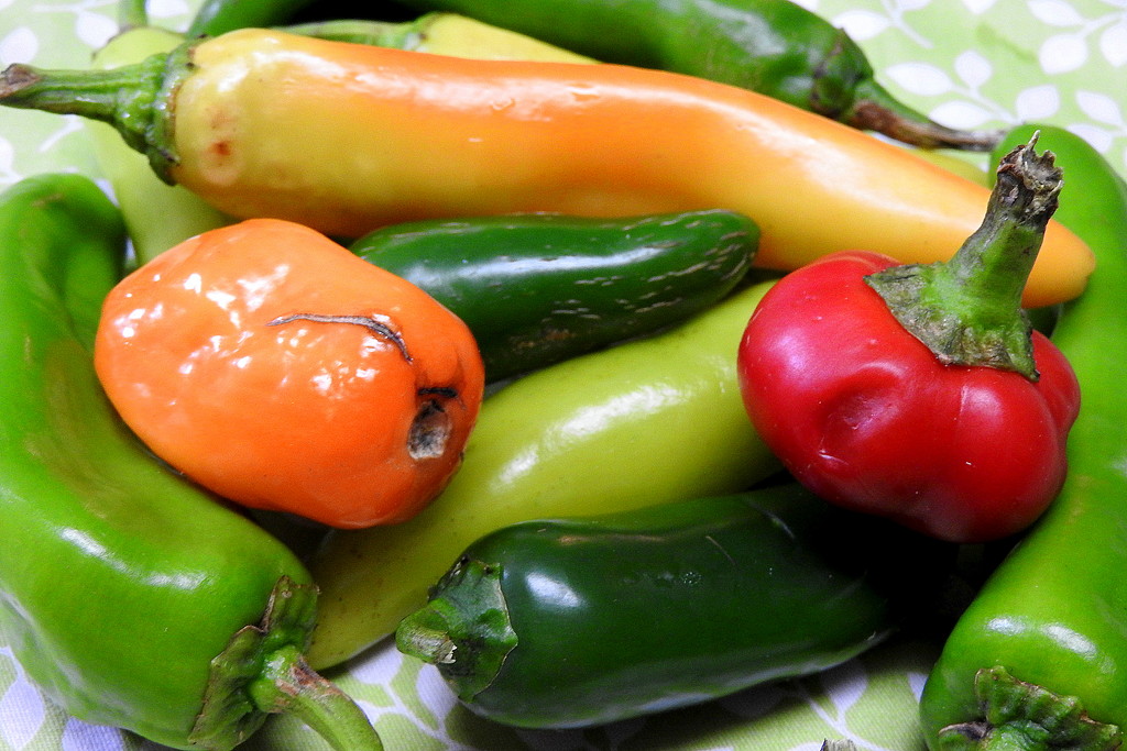 Peppers come in all colors! by homeschoolmom