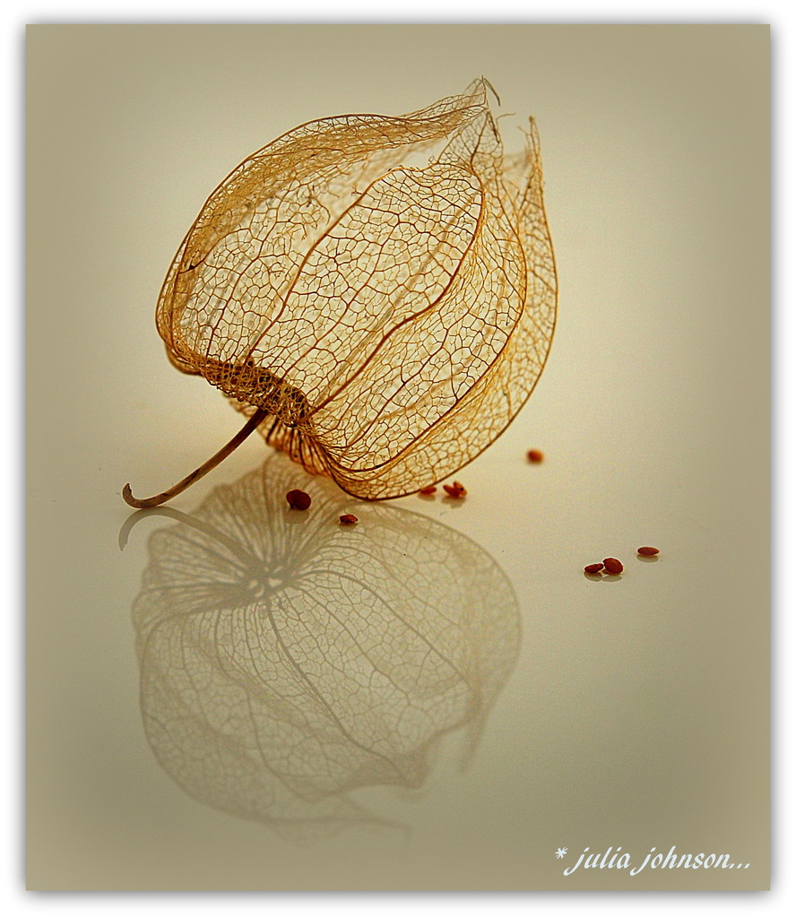 Gooseberry and seeds... by julzmaioro