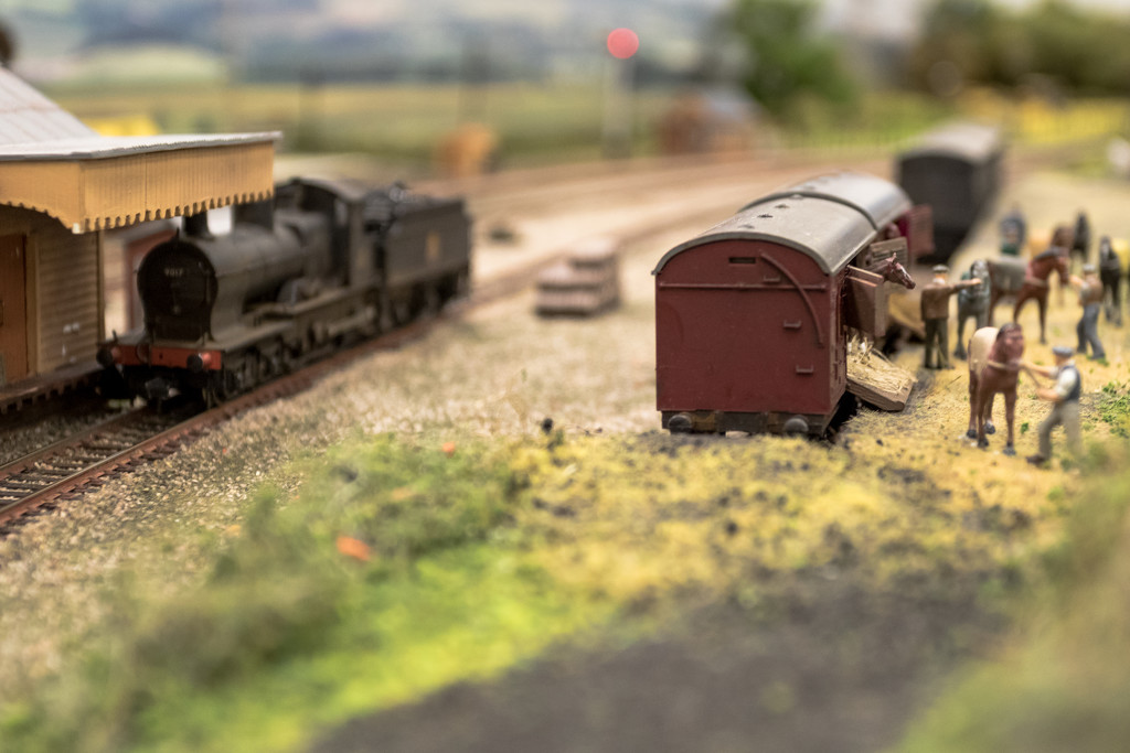 Dartford Model Rail 2 by peadar