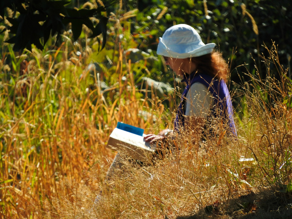 Reading In The Reeds by seattlite