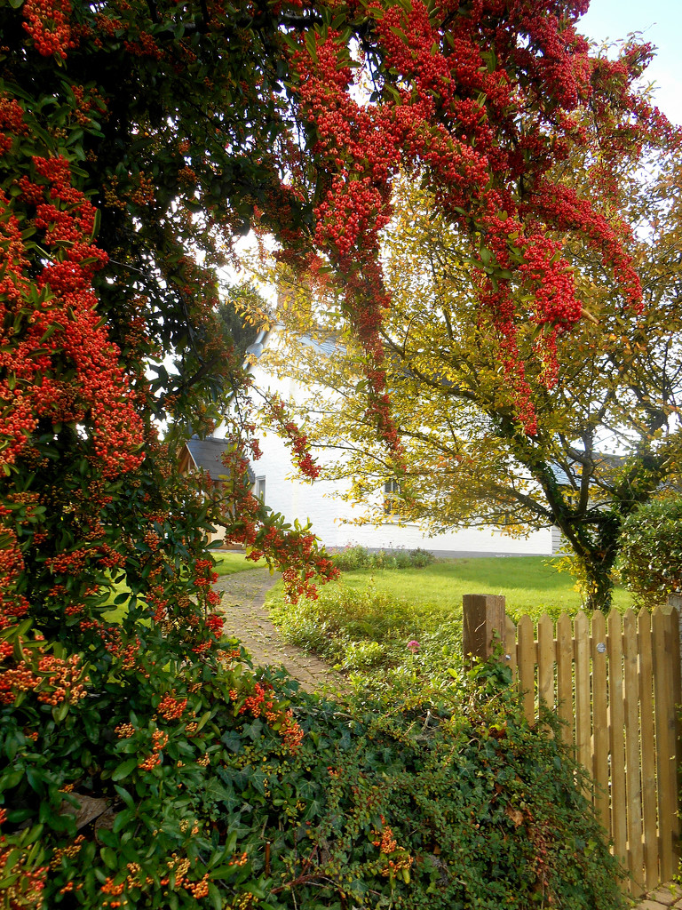 A pretty gate way.... by snowy