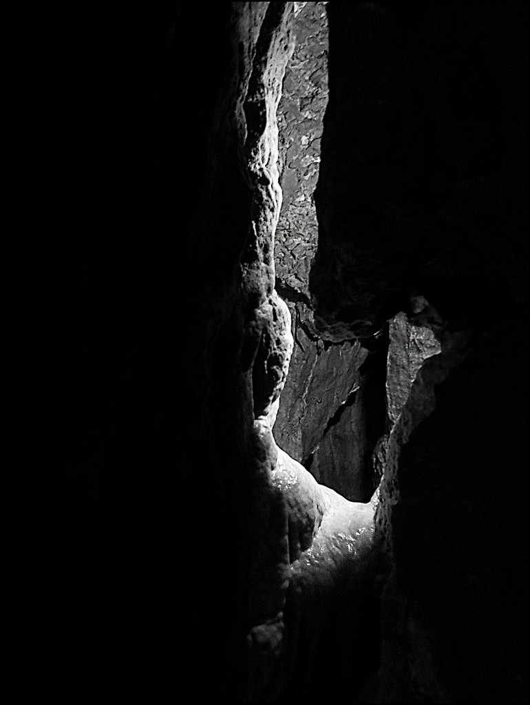 Hidden River Caverns (black and white) by olivetreeann