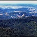 The view from the "Best of All" Lookout - Springbrook, Qld. by robz