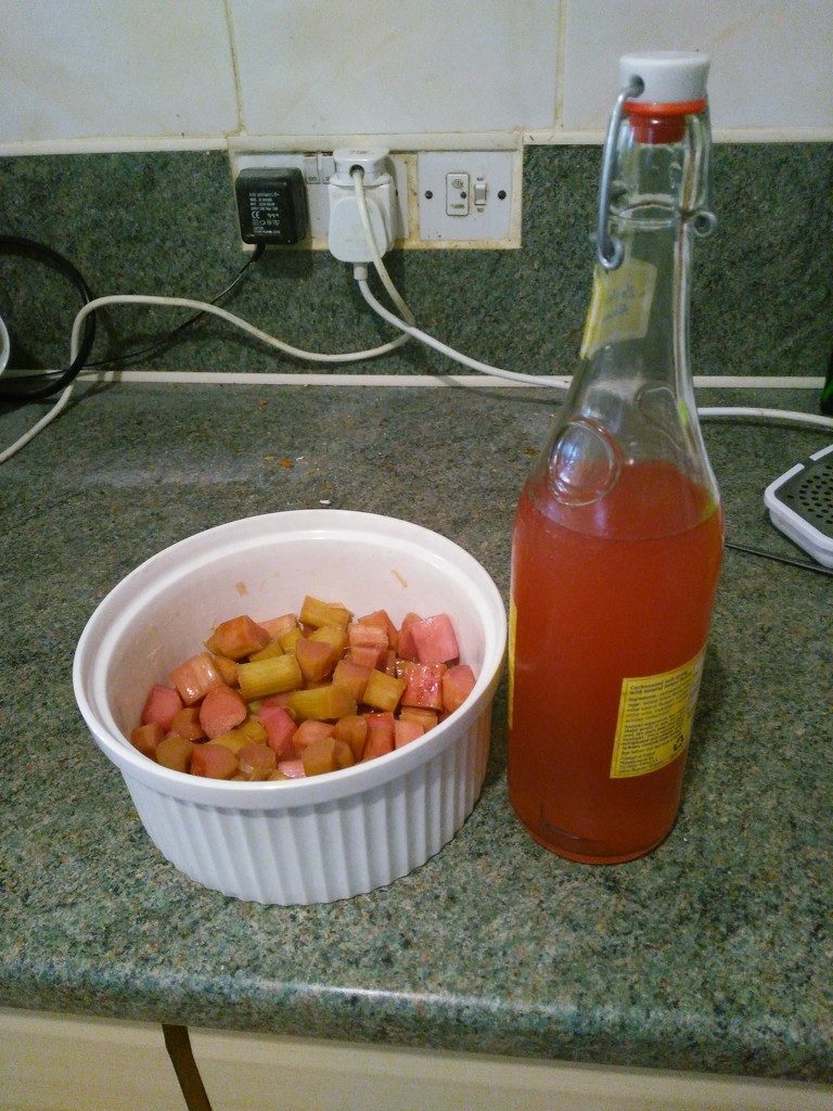 Rhubarb Gin ready. Very red. by jmdspeedy
