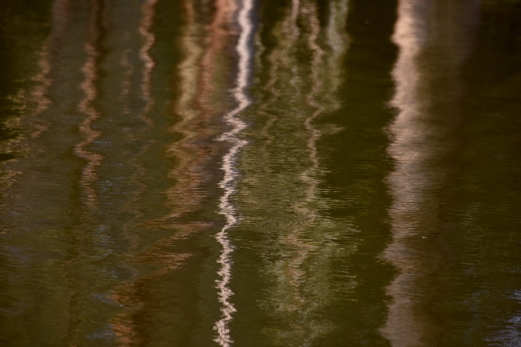 Abstract Reflections_DSC3319 by merrelyn