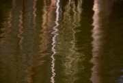 17th Sep 2017 - Abstract Reflections_DSC3319