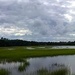 Salt marsh and clouds by congaree