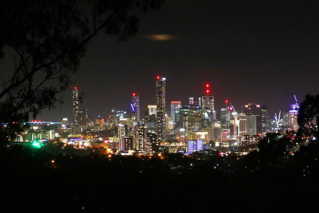 Brisbane City at Night by terryliv