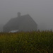 NF- SOOC- 2017  Day 14 Barn in the Mist  by farmreporter