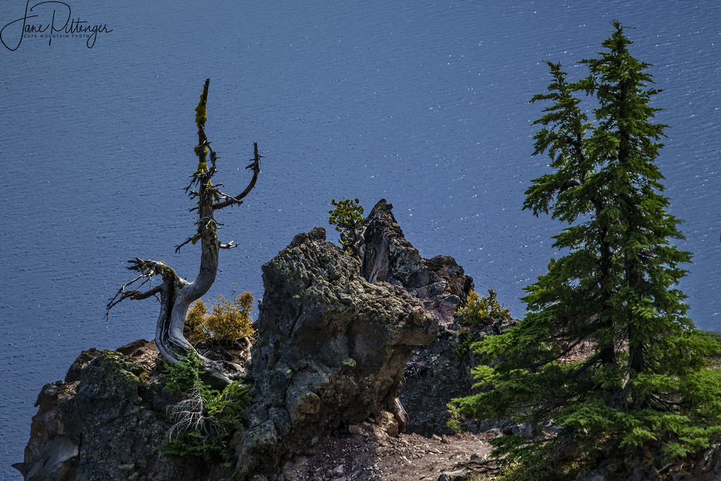 At the Edge of Crater Lake by jgpittenger