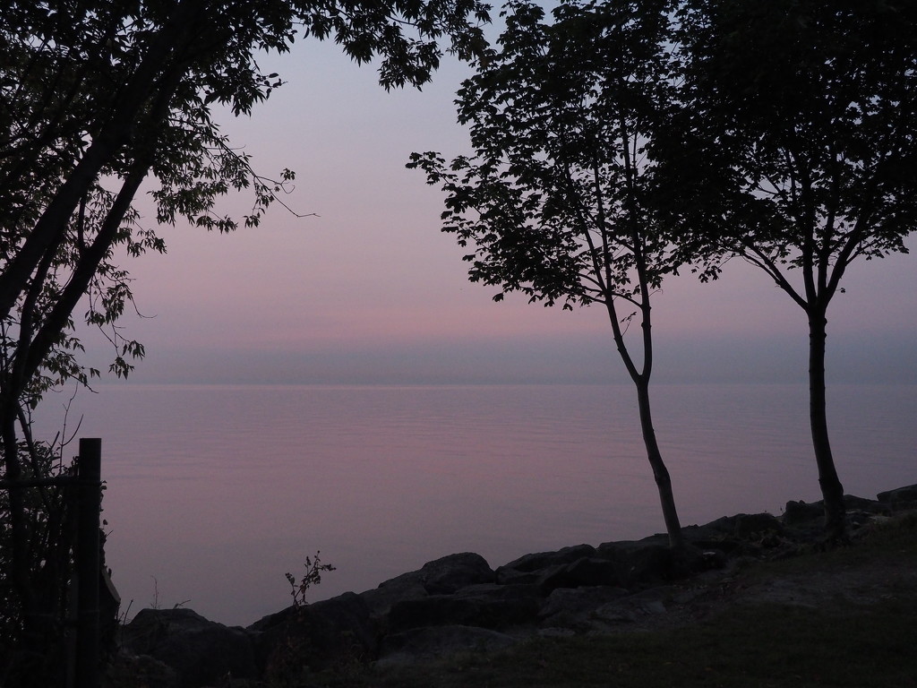 Pink Start to the Day by selkie