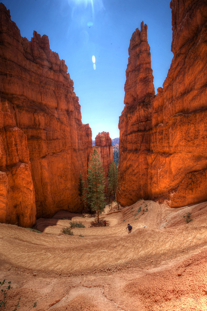 Wall Street in Bryce Canyon by pdulis