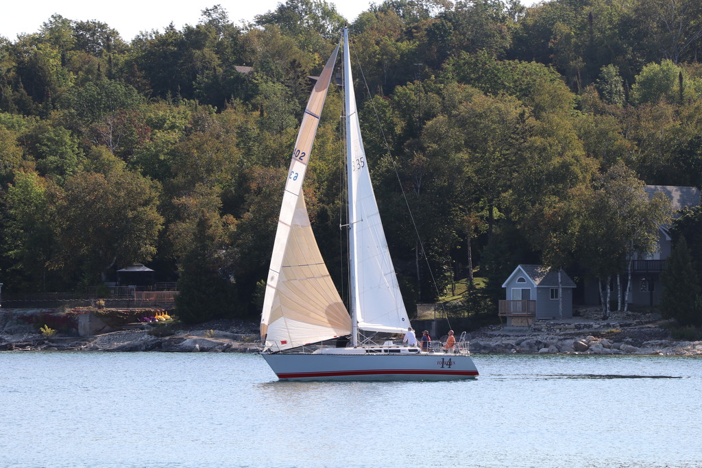Fall sail by jdraper