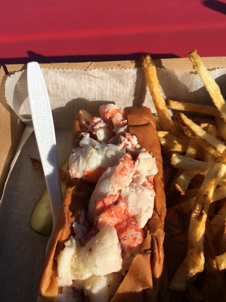 Another Lobster Roll by clay88