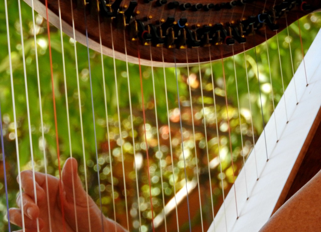 Harp Strings by janeandcharlie