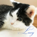 I Love Lucy by yogiw