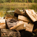 log pile by tracymeurs