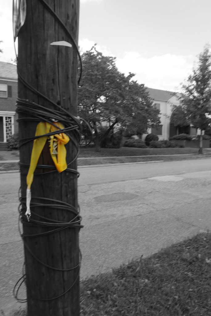 Tie a Yellow Ribbon  by allie912